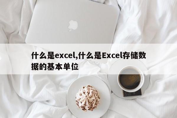 什么是excel,什么是Excel存储数据的基本单位