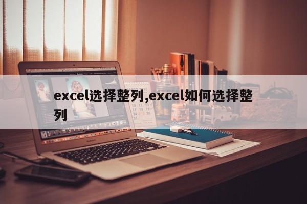 excel选择整列,excel如何选择整列