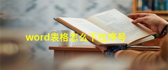 word表格序号自动排序,word表格序号自动排序并居中