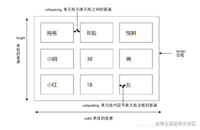 html表格高度,html表格单元格高度