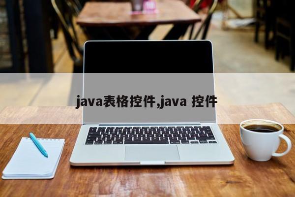 java表格控件,java 控件