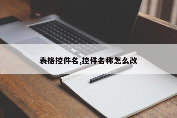 表格控件名,控件名称怎么改