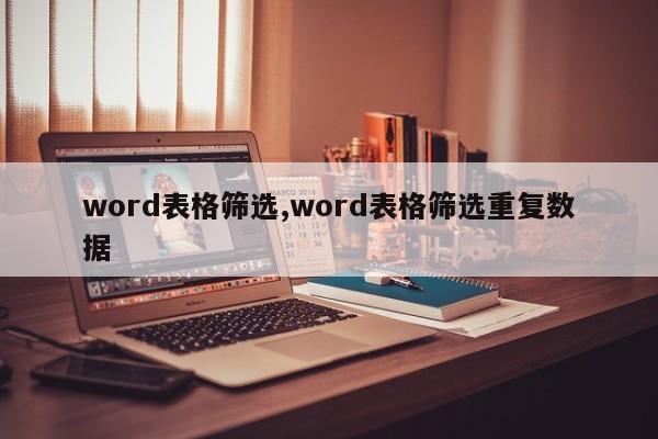 word表格筛选,word表格筛选重复数据